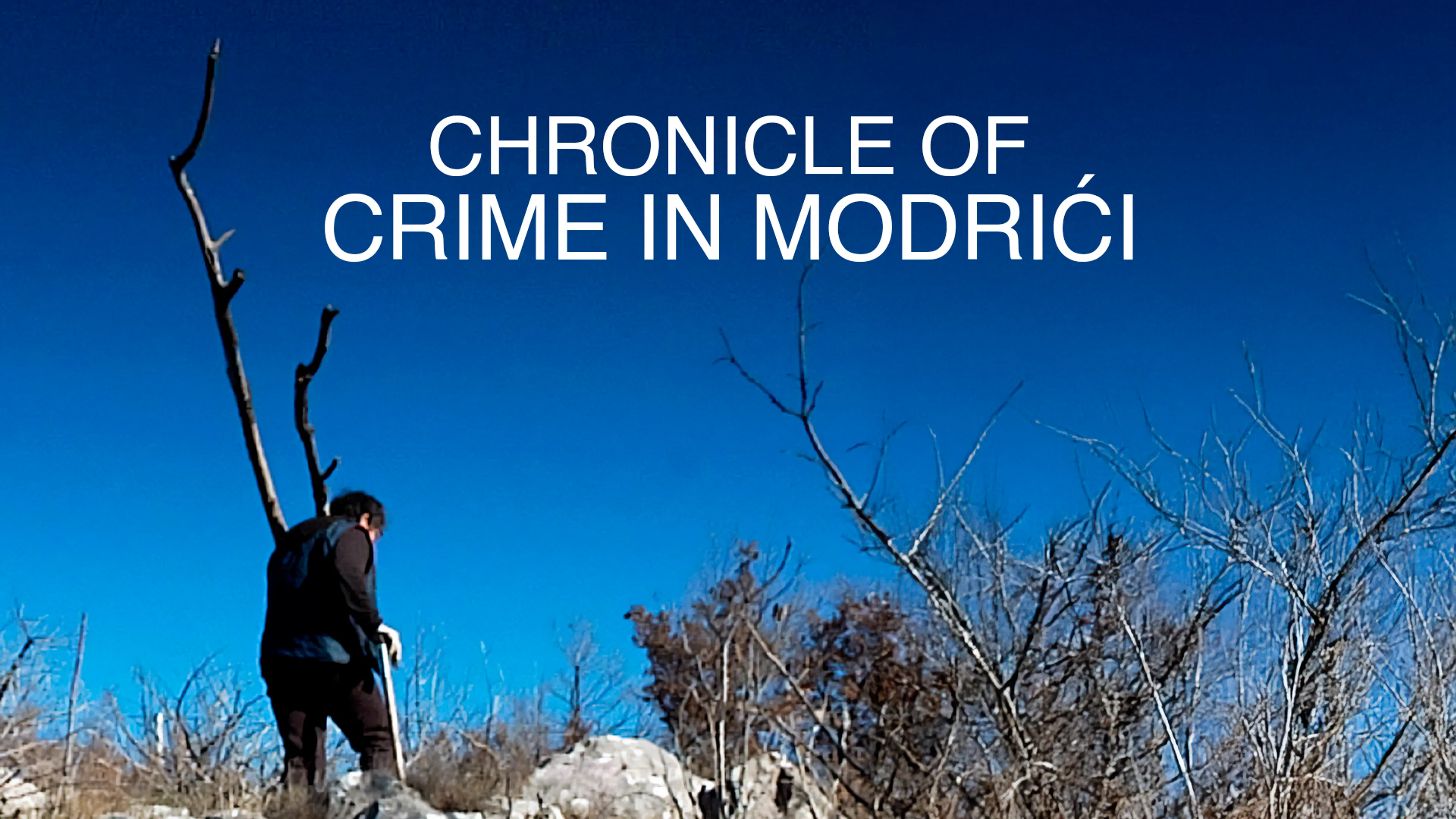 Chronicle of Crime in Modrići poster